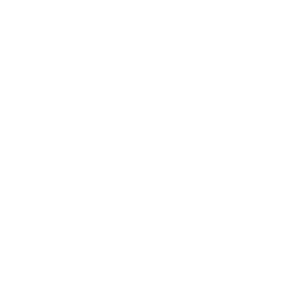 FOTON