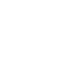 FOTON