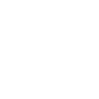 FOTON
