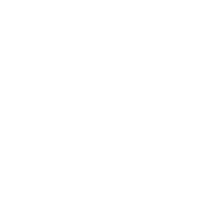 DONGFENG