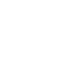 DONGFENG