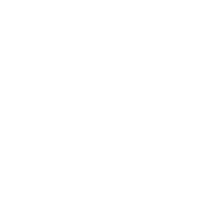 Fiat Professionell